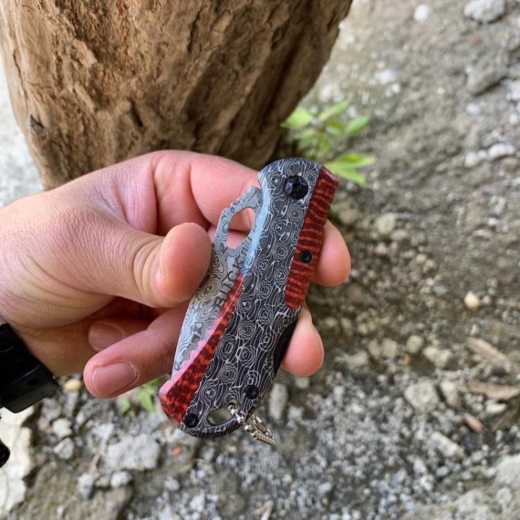 Knife Mini Folding Brand باک Model X82 - Back View